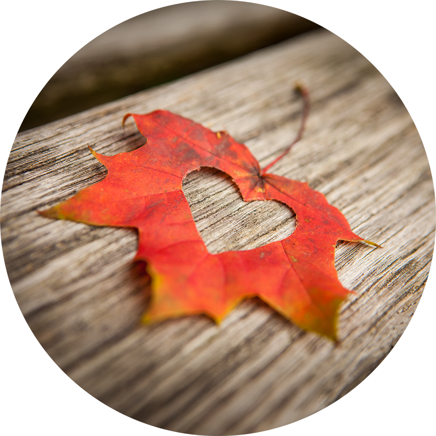 testimonial-single-leaf-heart_circle