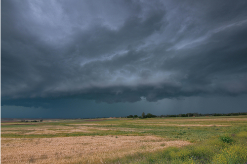 Senior-Resource-Center-Disaster