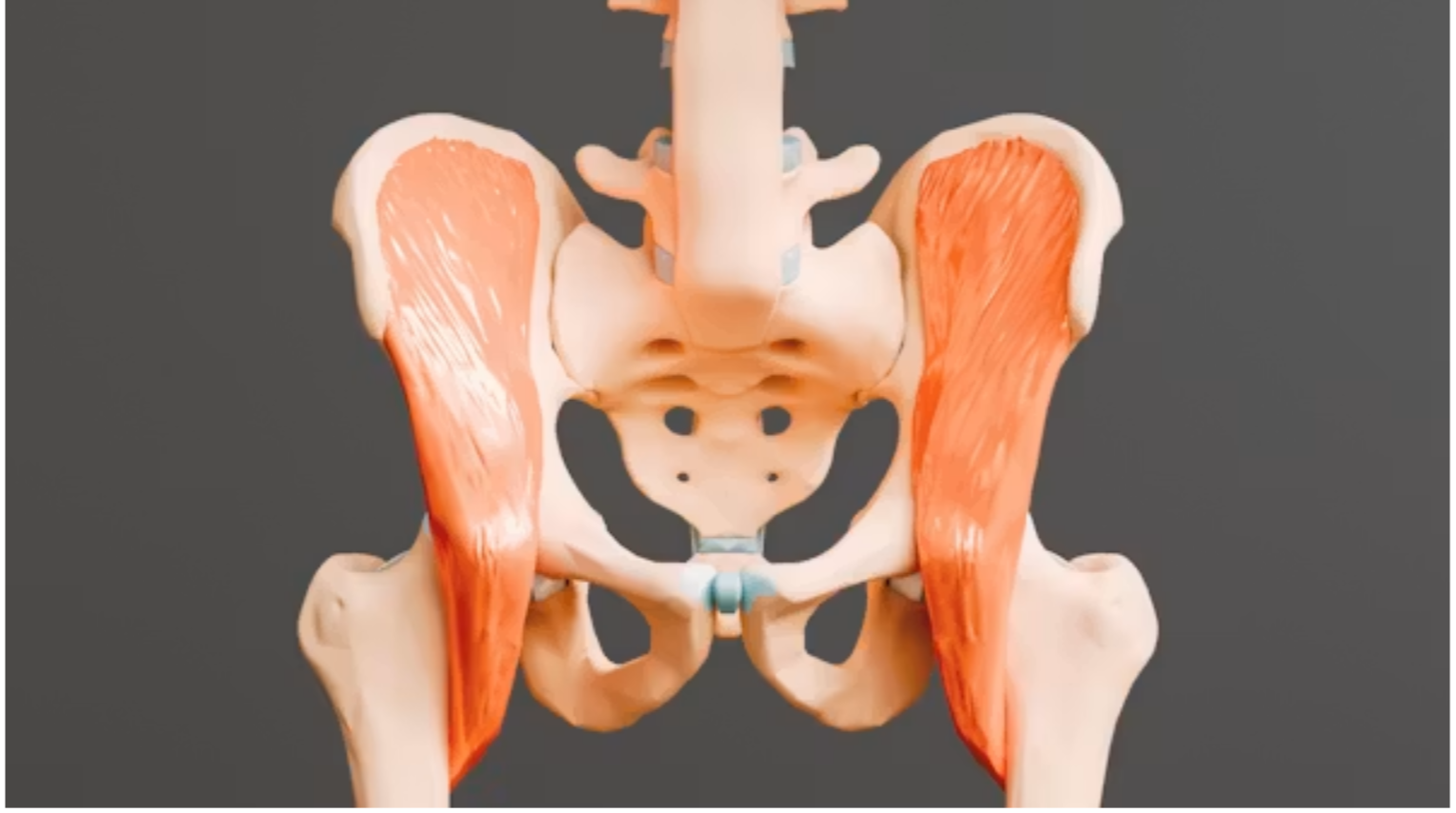 Pelvic Health-1