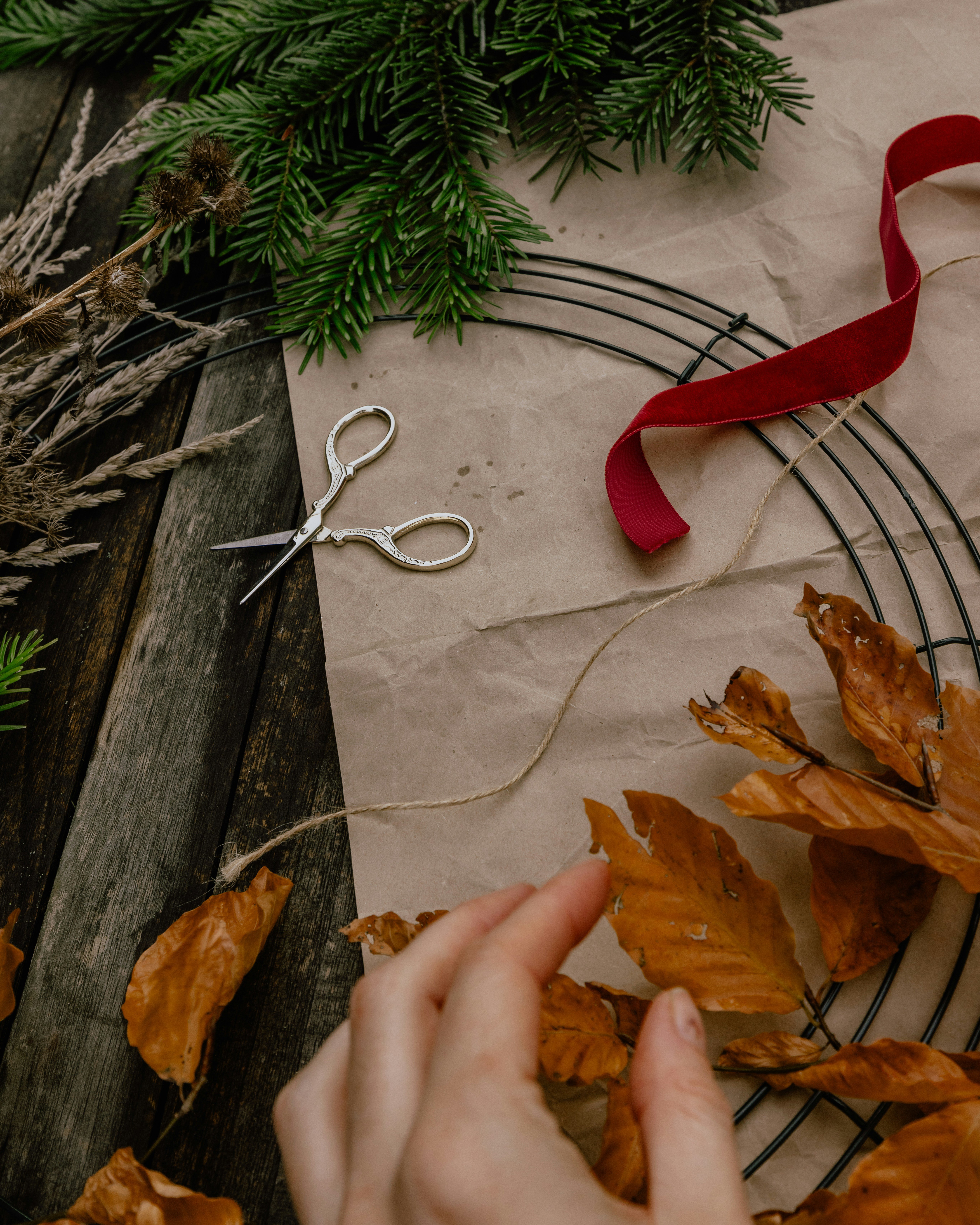 abbie-newton-e840VgBlmvA-unsplash