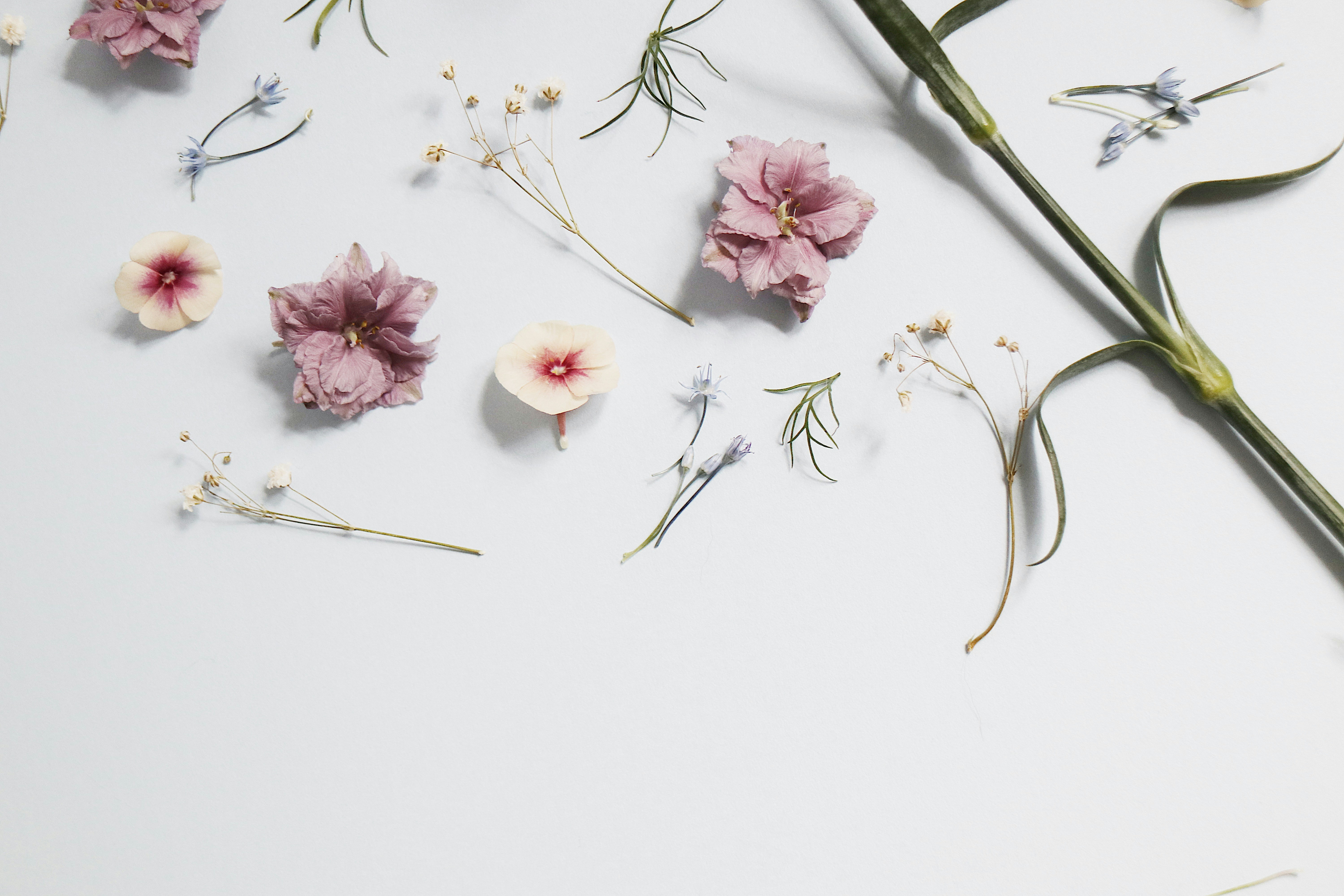 anna-sullivan-ARrM9jUl780-unsplash