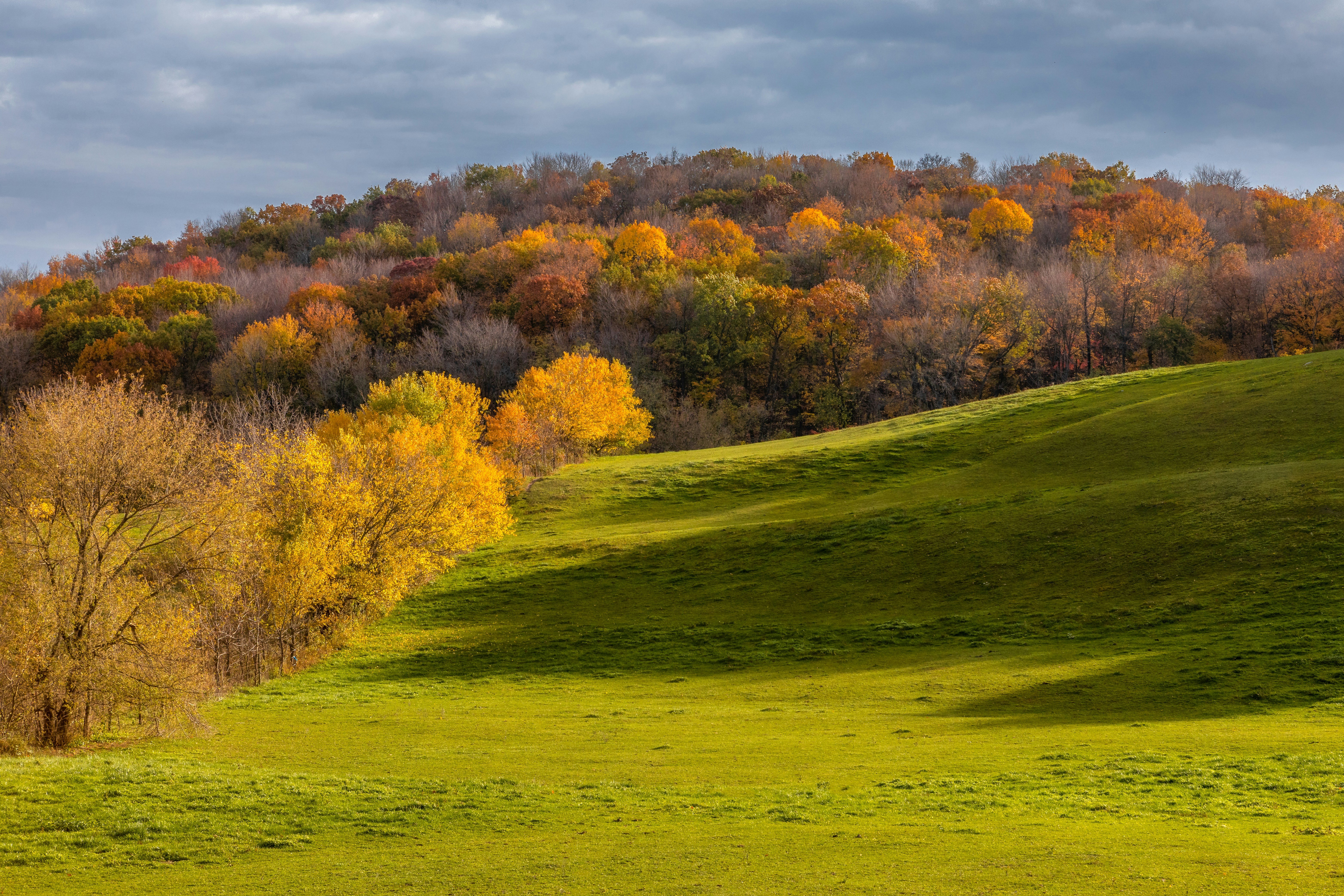 dave-hoefler-6Q36NIaxGPA-unsplash