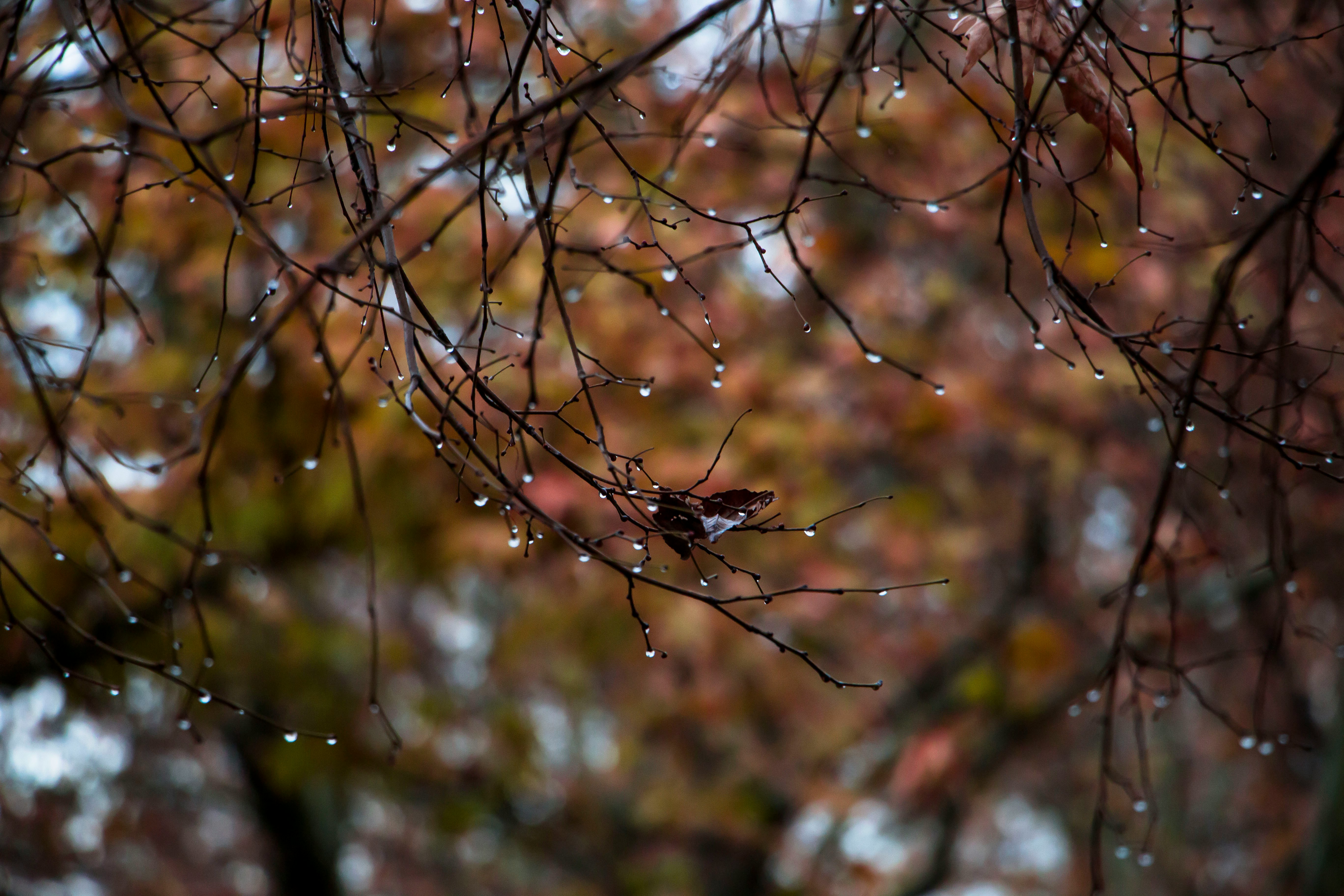 fatemeh-mah-k8gU-BmQ12k-unsplash