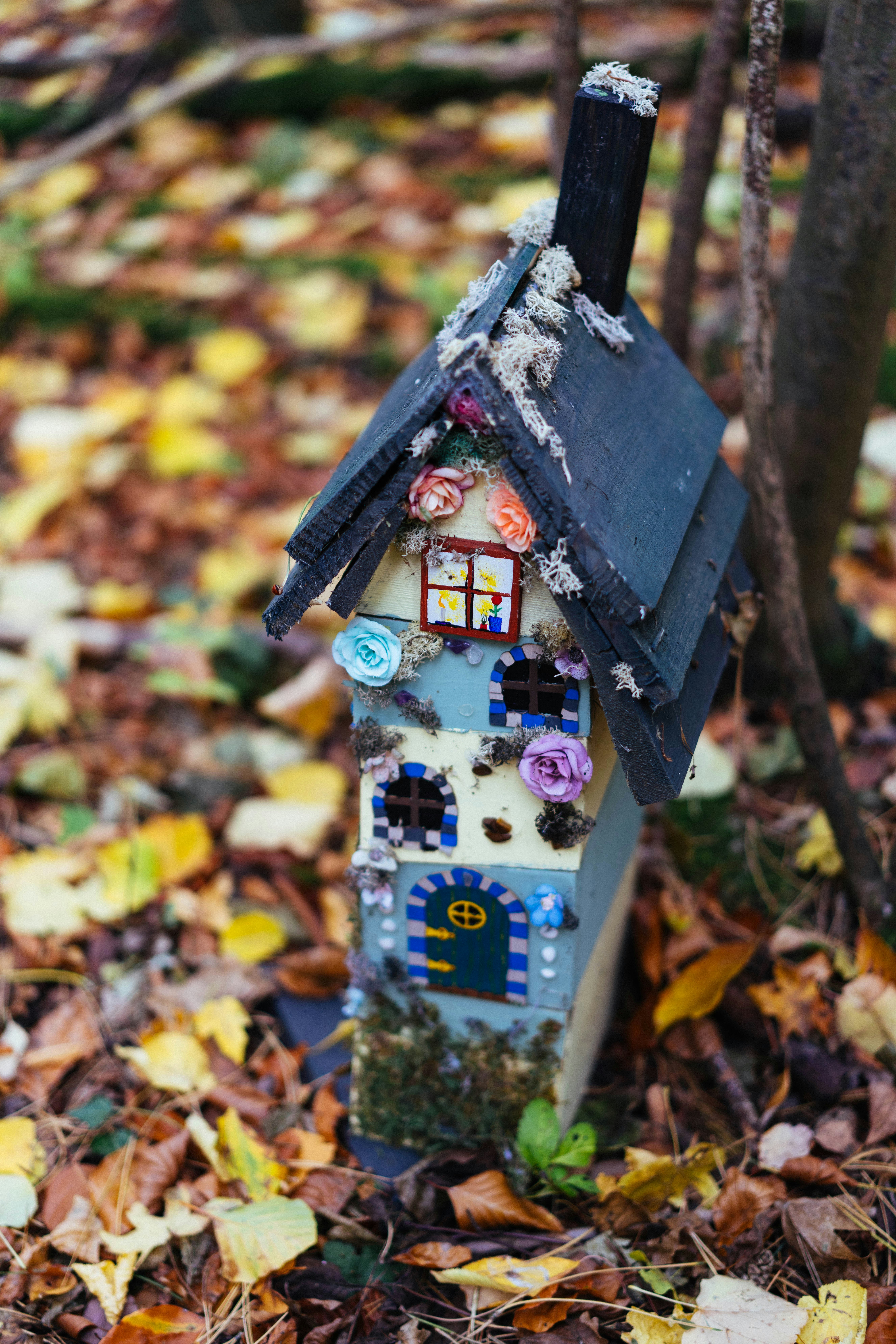 phil-hearing-4yX2SRRs6Ns-unsplash